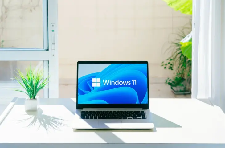 windows 11