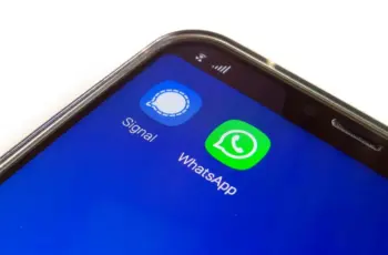 signal whatsapp