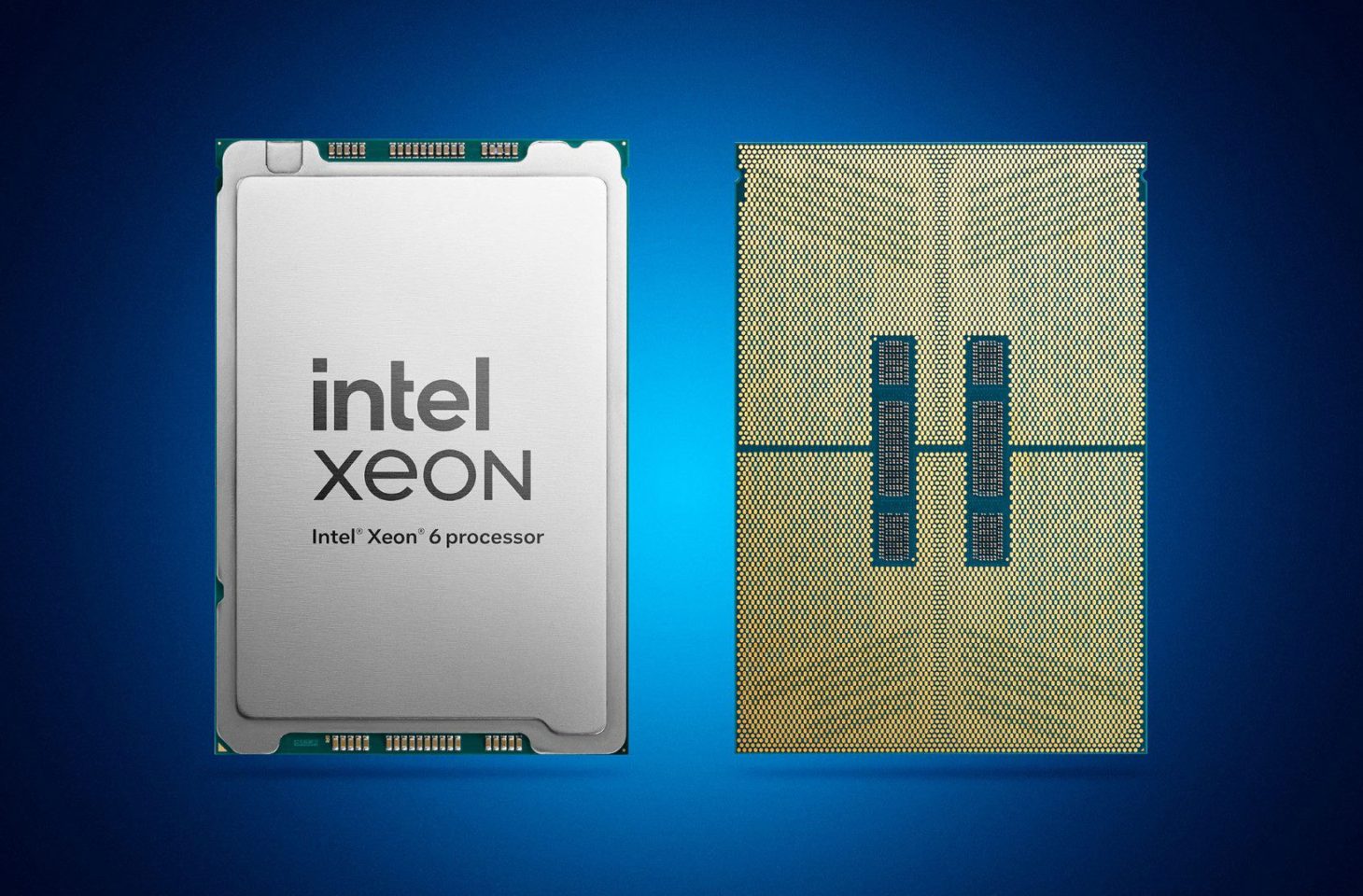 intel xeon 6